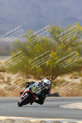 media/Apr-10-2022-SoCal Trackdays (Sun) [[f104b12566]]/Turn 5 Tree of Life (1040am)/